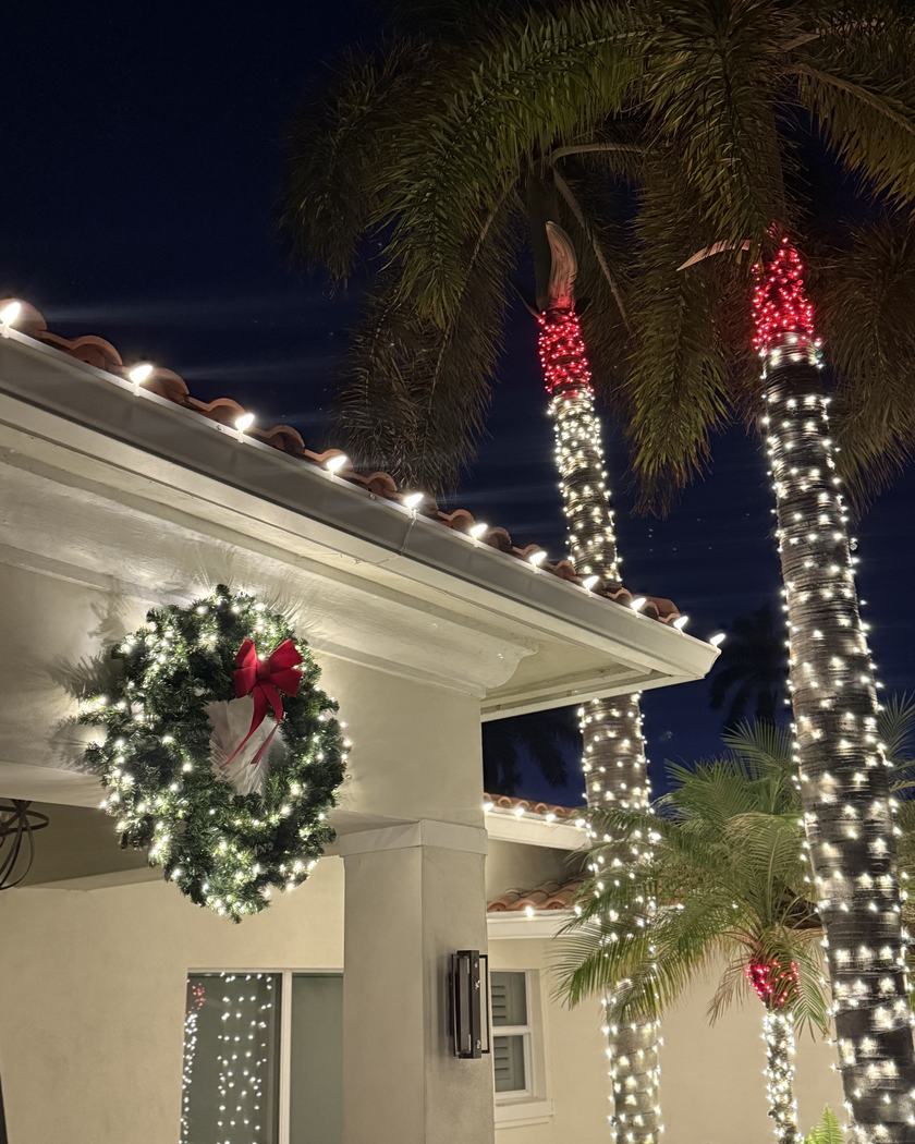 Two story home with warm white roofline and wrapped palms at dusk