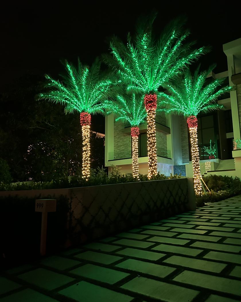 Arched entry with lit columns, fence line and palms